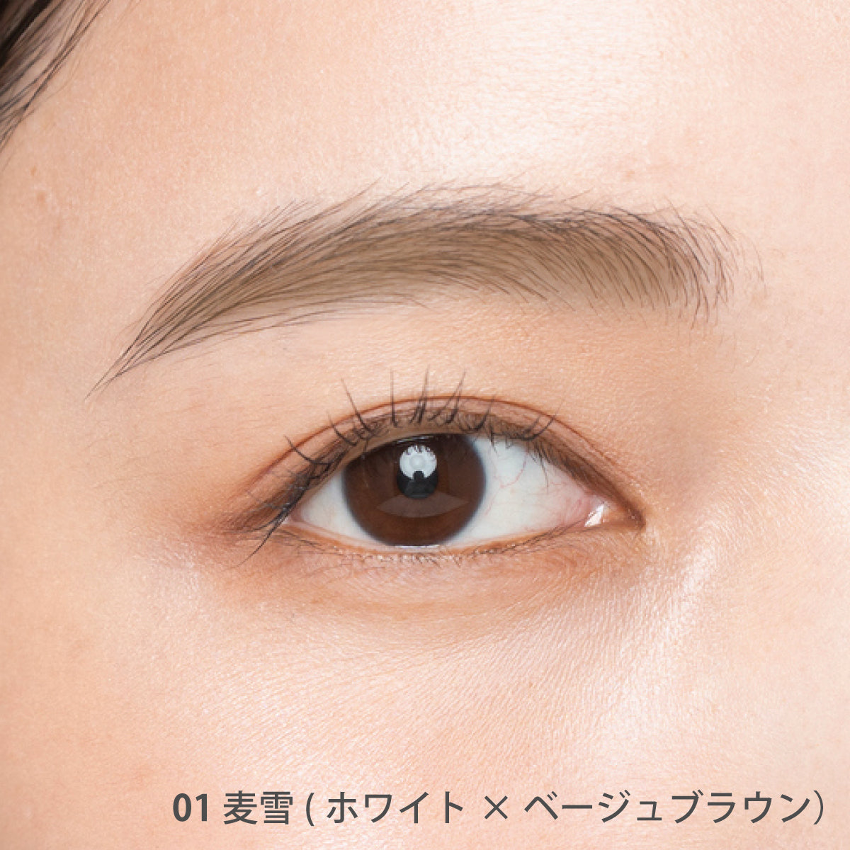 AINOKI アイブロウキット【数量限定】