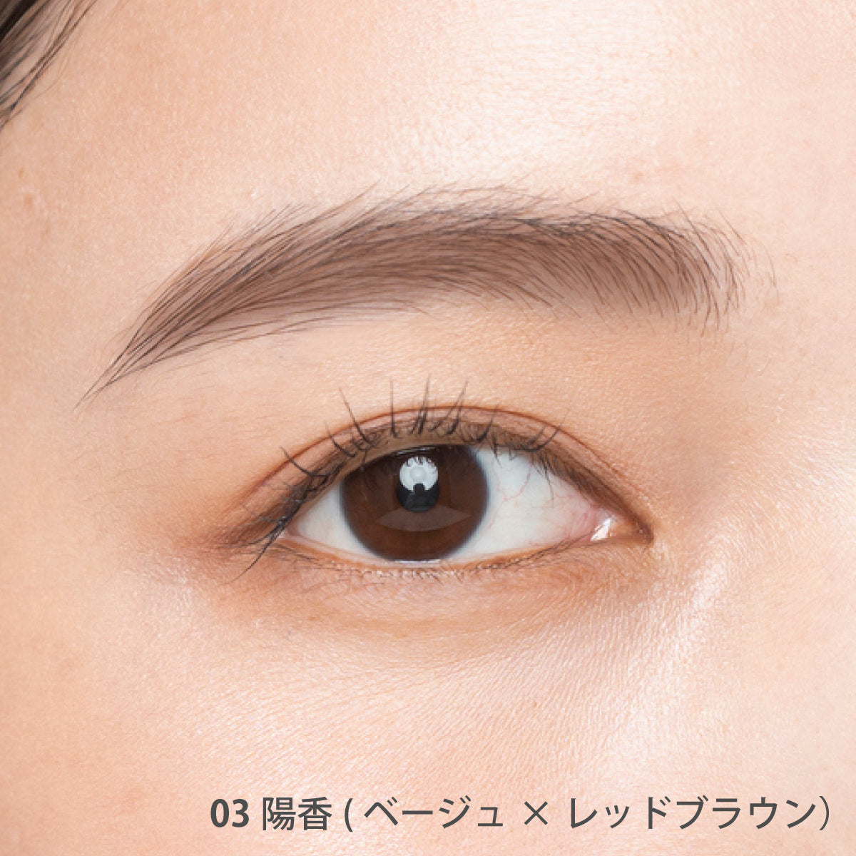 AINOKI アイブロウキット【数量限定】