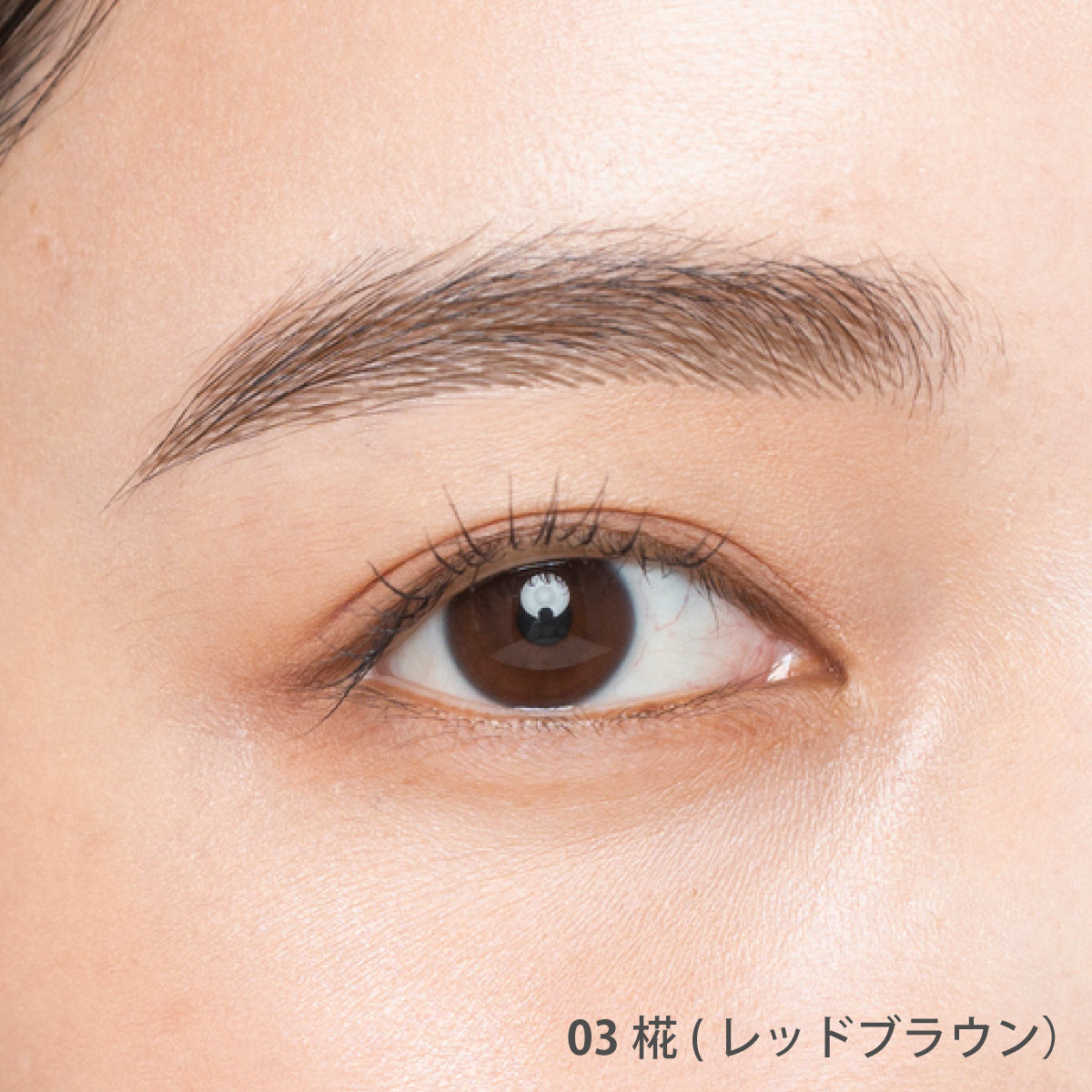 AINOKI アイブロウキット【数量限定】