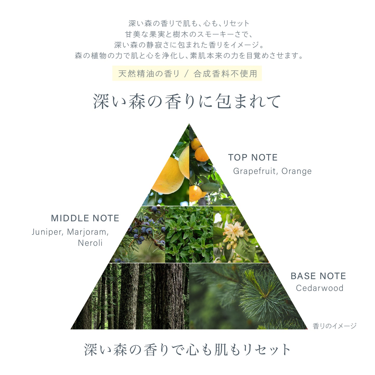 【メイク落とし】forest feel cleansing milk(クレンジングミルク)