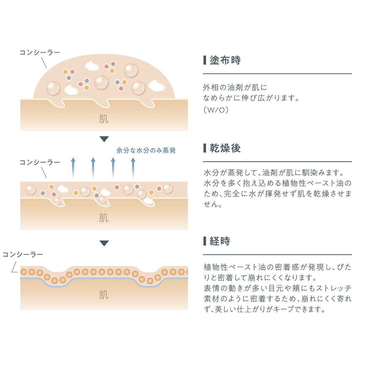 【リキッドコンシーラー】forest feel liquid concealer