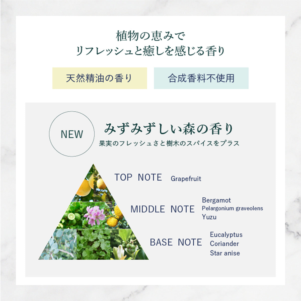 【スティック美容液】moist eye balm c
