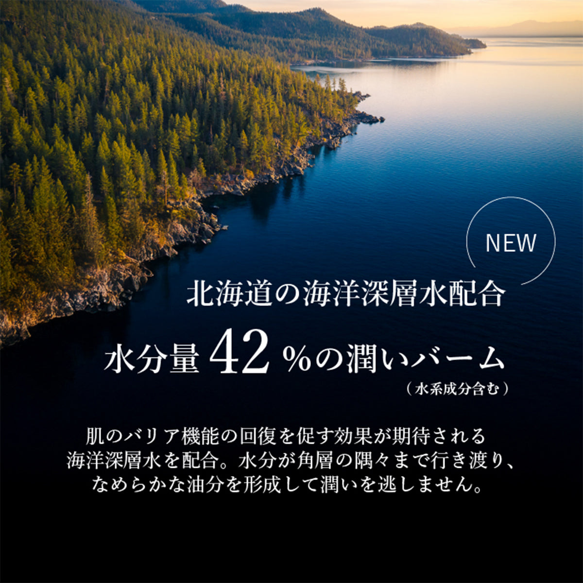 【スティック美容液】moist eye balm c