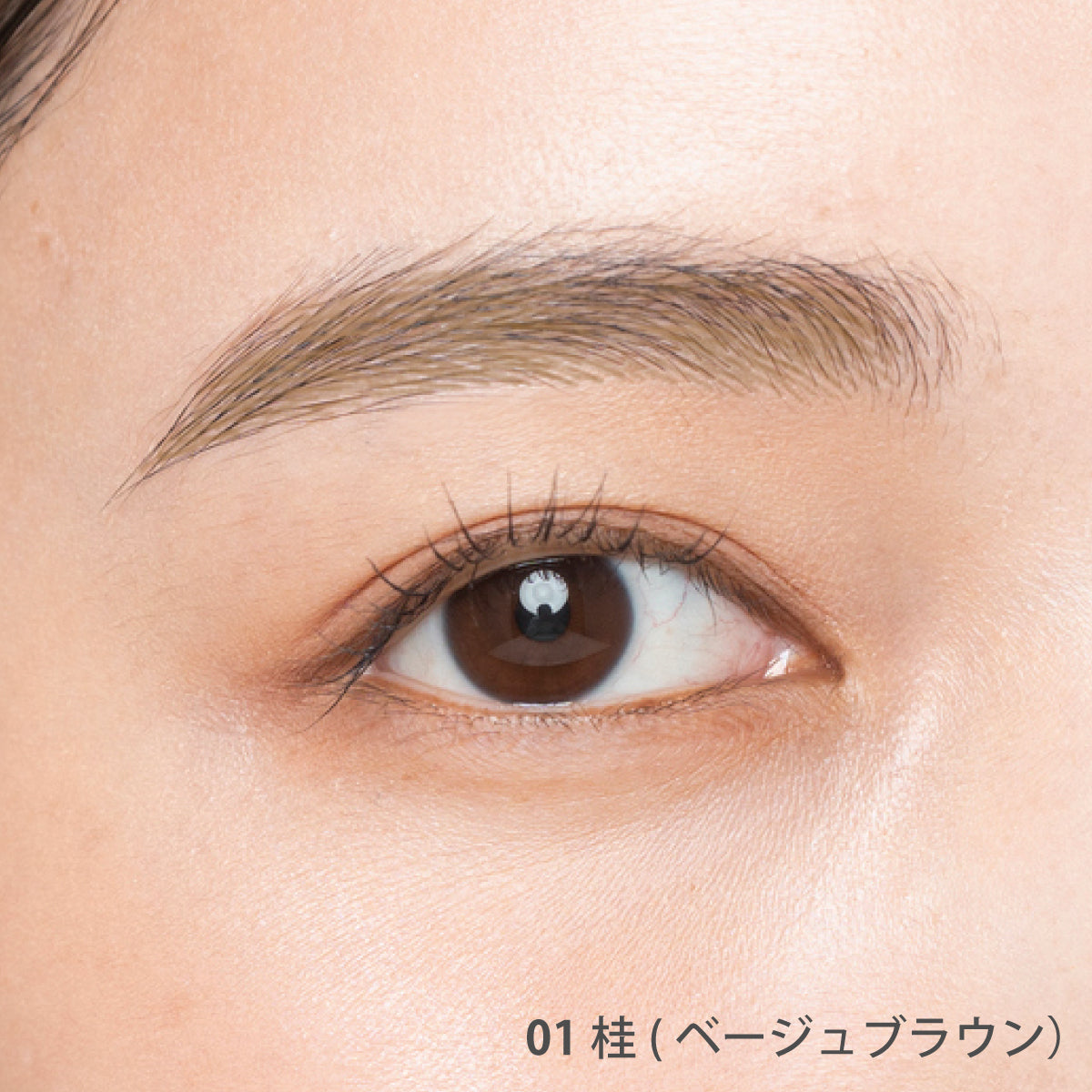 AINOKI アイブロウキット【数量限定】