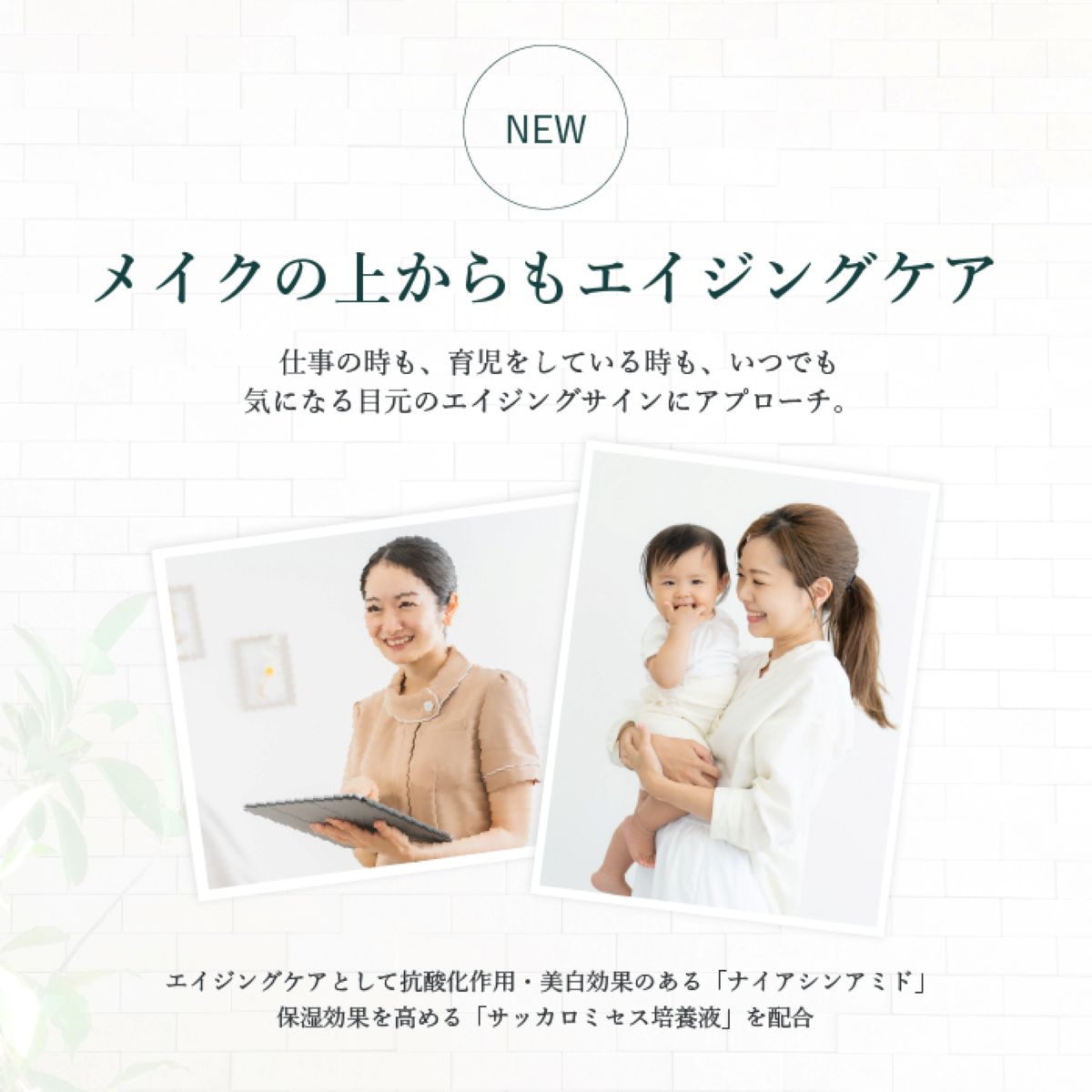 【スティック美容液】moist eye balm c