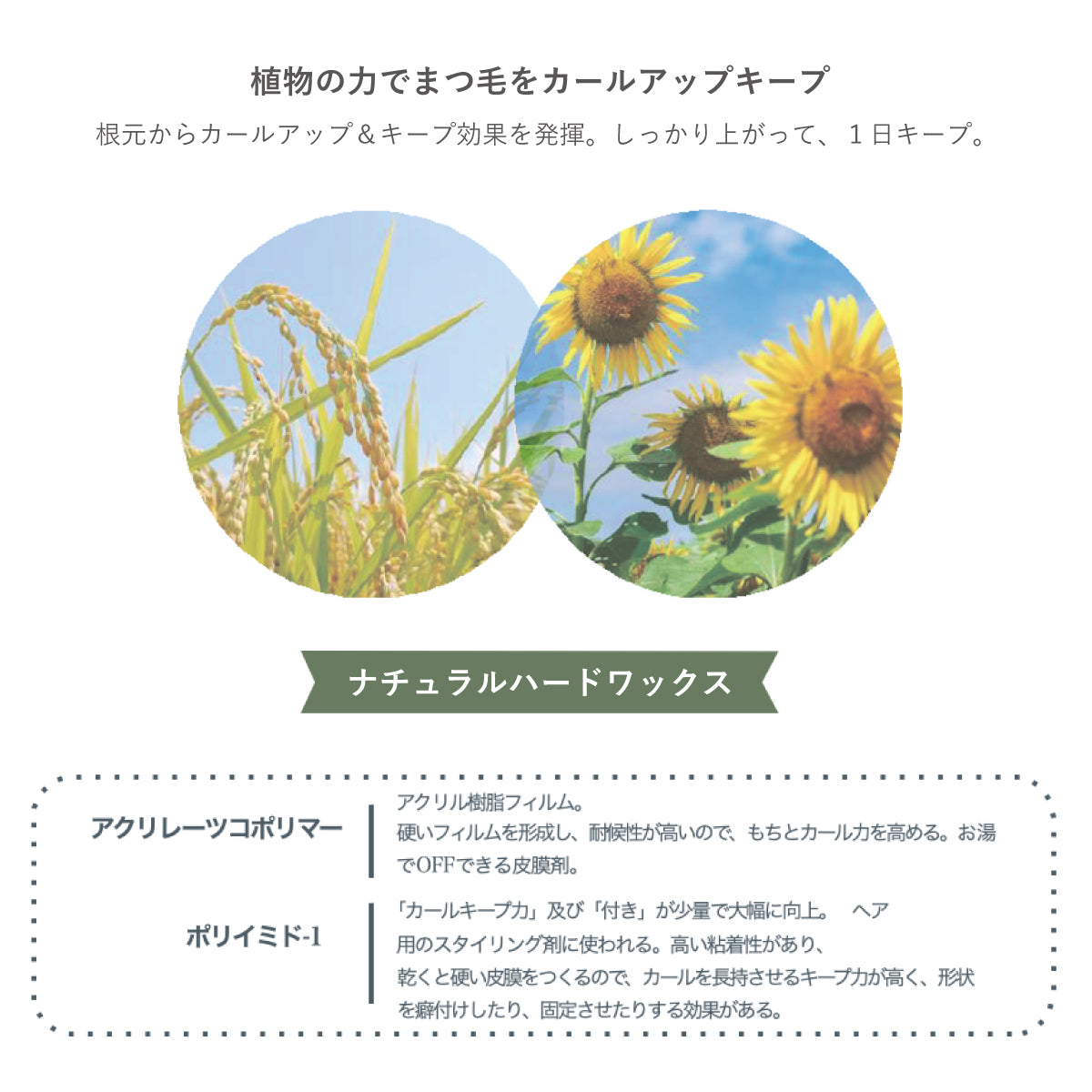 【カラーマスカラ】forest feel savior curl mascara
