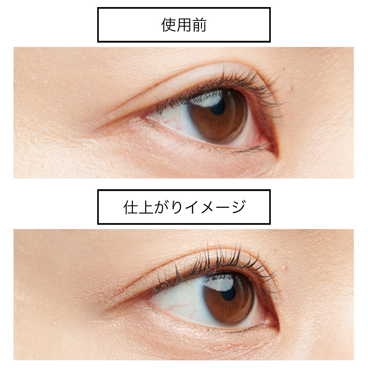 【マスカラ下地】forest feel savior mascara base